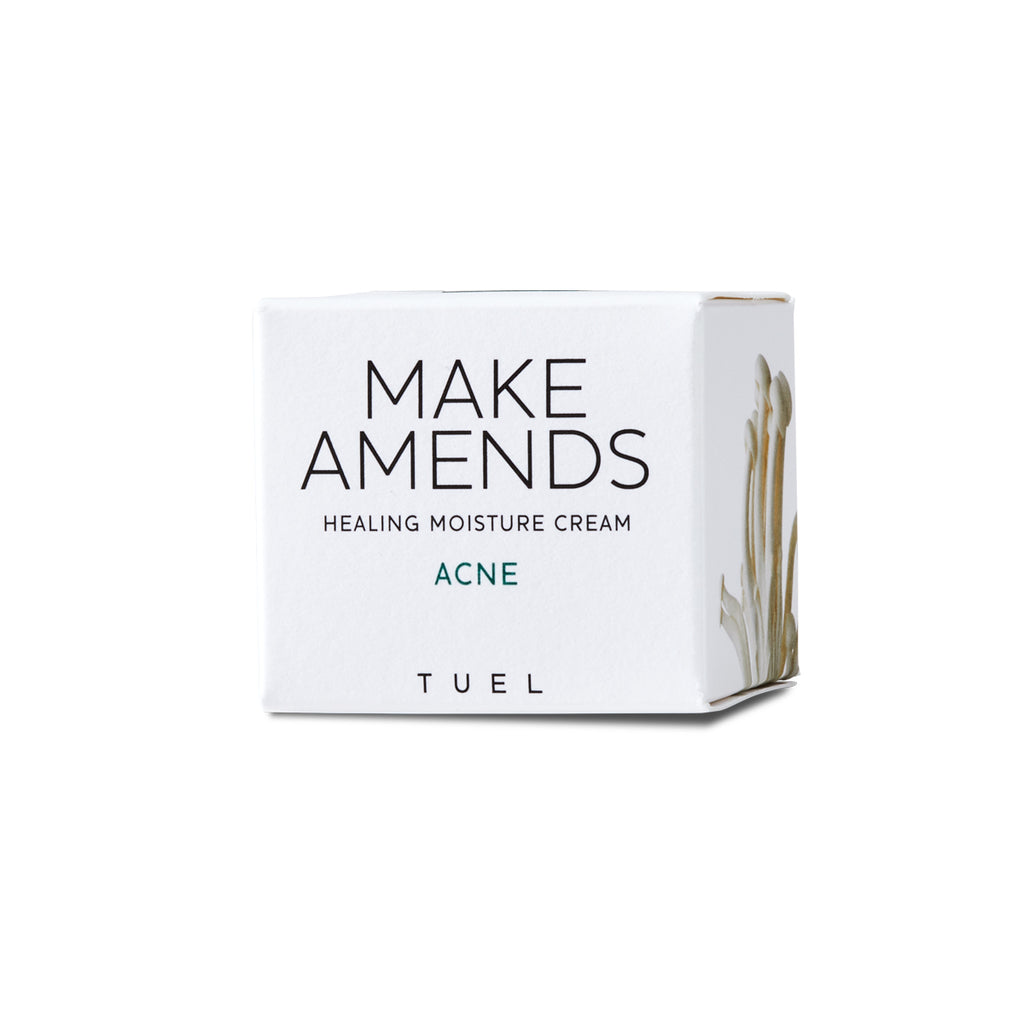 Make Amends Healing Moisture Cream